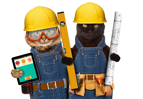 ThinkstockPhotos 588978072